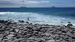 ガラパゴス諸島、Isla Seymour Norteの海岸