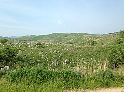 カルスト地形の形成と特徴