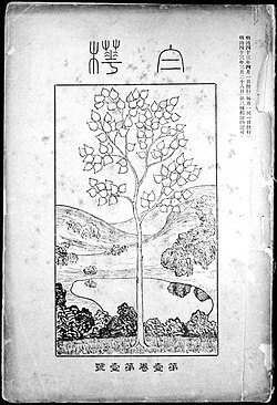 白樺 (文芸雑誌)