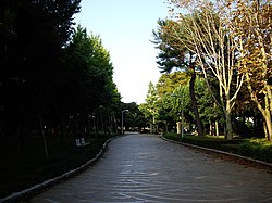 赤塚公園の別角度からの風景