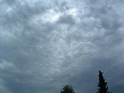 高積雲に現れた蜂の巣状雲