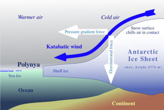 ポリニヤ(海氷域の開水面)の概要とメカニズム