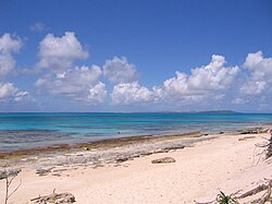 砂浜の一例(沖縄県来間島の長間浜)