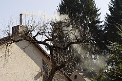ドイツの薪ストーブの煙