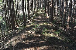 旧道
