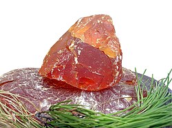 フランス海岸松から採取したロジン