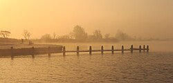 湖畔に浮か広がる朝靄