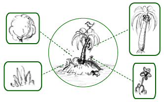 植物相(フローラ):定義と地理的区分