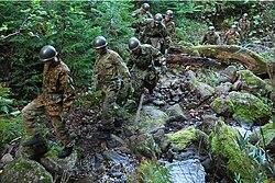 行方不明者の捜索を行う陸上自衛隊