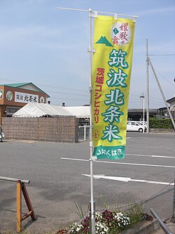 北条米:筑波山麓で育まれる茨城県のブランド米