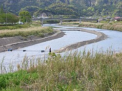 春先に行われる天降川の伝統的な稚アユ漁の様子