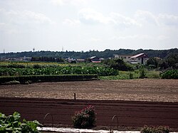 三富新田に隣接する埼玉県狭山市狭山台の屋敷森