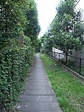暗渠化され歩道として使われている用水路(二ヶ領用水跡)