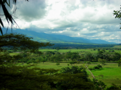 南アメリカの熱帯草原リャノの地理と文化