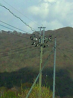 架空地線:送電線路の雷保護技術
