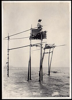 釣りの概要と歴史・文化