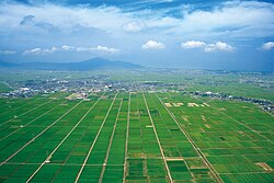 越後平野の水田風景
