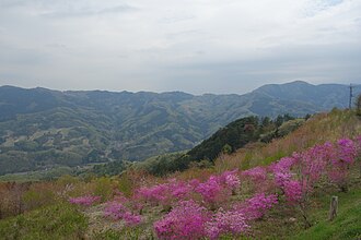 美の山公園：秩父の自然と展望の名所