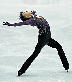 アイススケート競技の歴史と技術的特徴