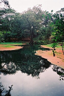 中国雲南省の湧水。農業用水として利用されるローカル・コモンズの例。