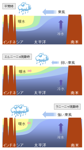 エルニーニョ・南方振動(ENSO)のメカニズムと気候への影響