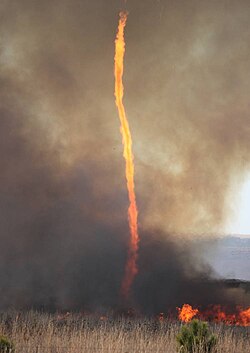 原野火災に生じた火災旋風