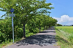 旧筑波鉄道の線路敷きを転用した自転車道