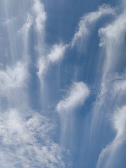 観天望気:自然の兆候による天気予測の伝承