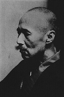 森林太郎(森鷗外)の生涯と業績:明治・大正期の巨星