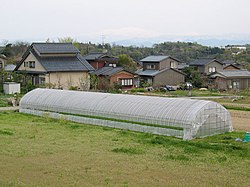 プラスチックハウスの概要と農業における役割
