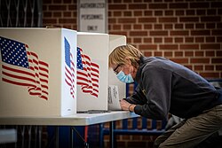 2020年アメリカ大統領選挙における不正投票の主張と法的対応