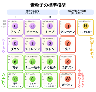 素粒子物理学における基本構成単位の概要
