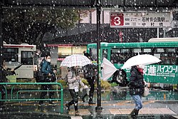 初雪の定義と気象学的観測