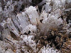 霜柱の発生メカニズムと地形への影響