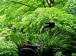 新緑の日本庭園、三千院にて