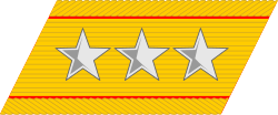 大将 (軍隊)