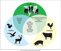 人間と野生動物、家畜に共通して感染する感染症