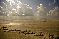 海岸から望む空に浮かぶ並雲