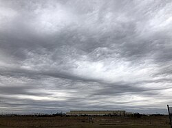 うねりのような模様が見える波状高層雲