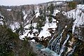 白ひげの滝(日本北海道)
