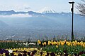 当公園から望む甲府盆地と富士山
