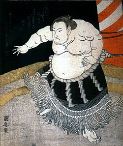 稲妻雷五郎:江戸時代後期の第7代横綱と大相撲の黄金時代