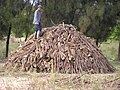 炭焼きの技術と原理