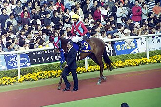 スティルインラブ:史上2頭目の牝馬三冠馬