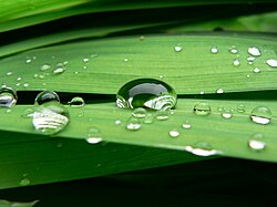 濡れ(物理現象):固体表面における液体の挙動と制御