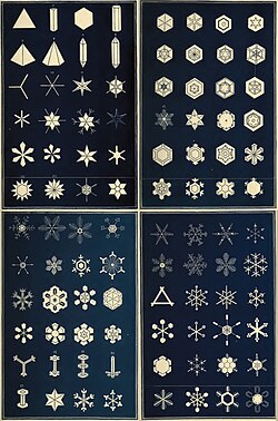 初期の雪片分類の図版