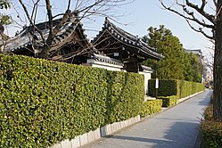 垣根の構造と文化的背景:国内外の生垣や竹垣の歴史