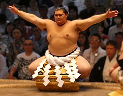 横綱(大相撲)