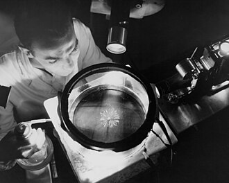 霧箱を覗き込む物理学者の様子。ポロニウム線源からのアルファ粒子が花びら状に可視化されている。