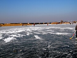凍ったノイジードル湖の湖上でのスケート